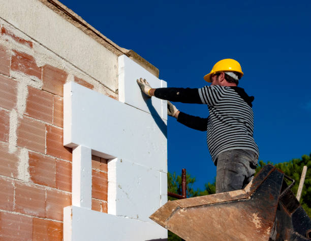 Best Insulation Inspection Services  in Dranesville, VA