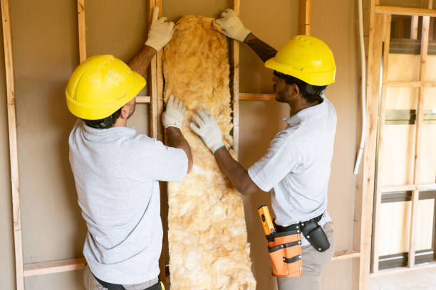 Best Soundproof Insulation Installation  in Dranesville, VA